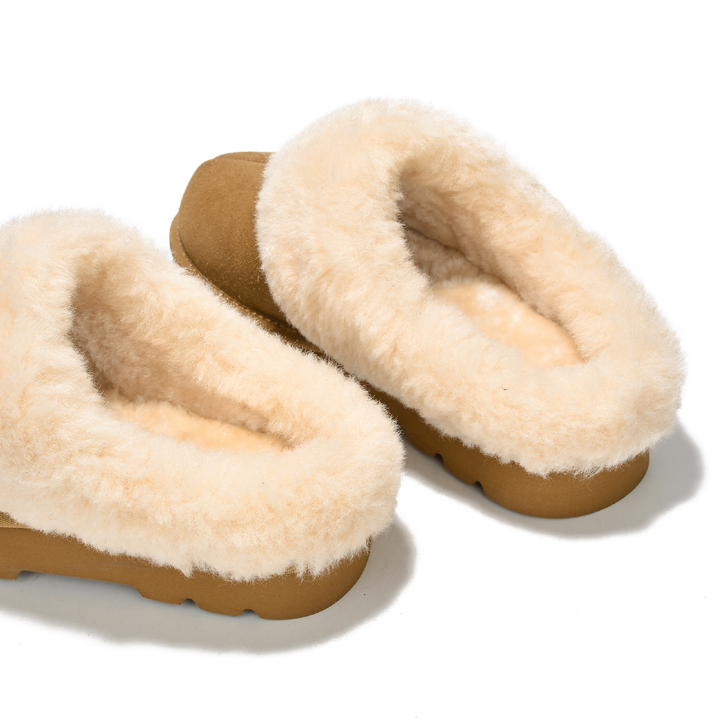 Snowy - Chestnut-OLD - Sassygrove