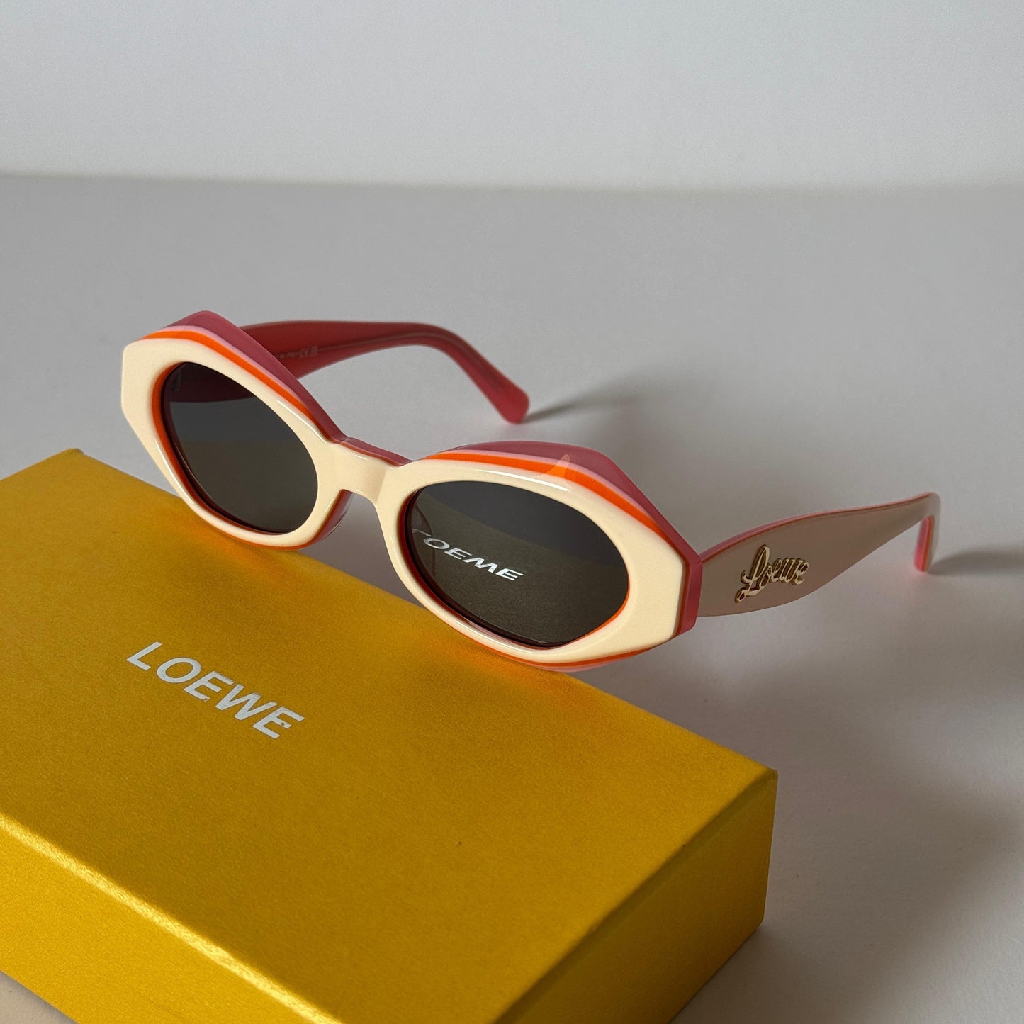 Loewe Paula's Ibiza Oval Acetate Sunglasses - Sassygrove