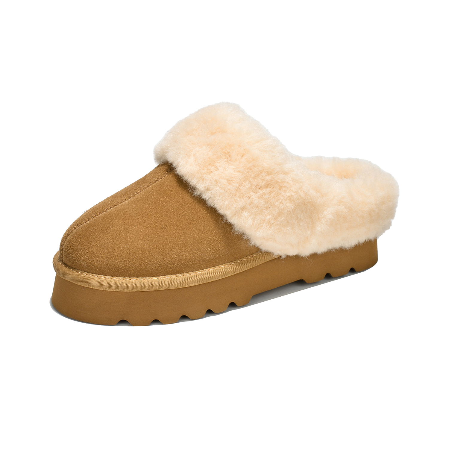 Snowy - Chestnut-OLD - Sassygrove