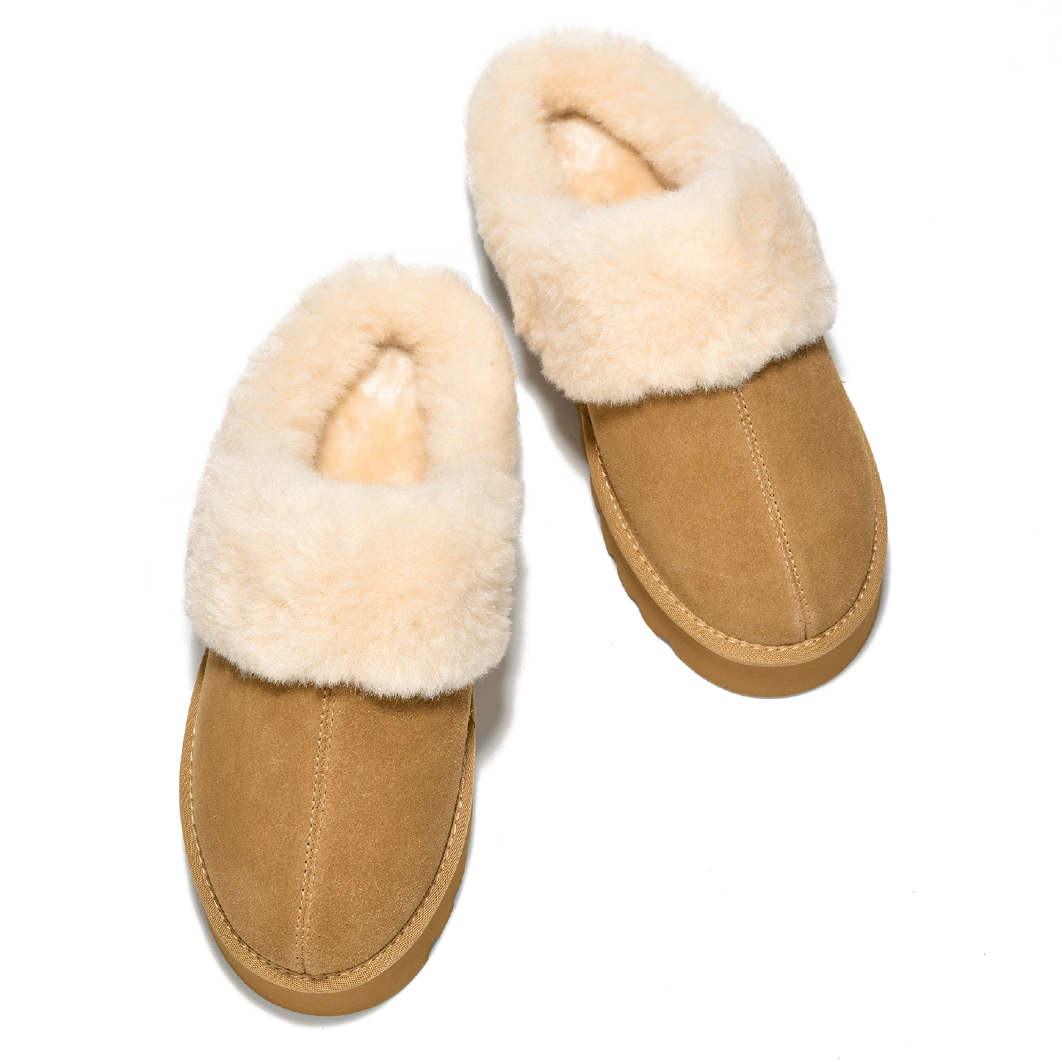Snowy - Chestnut-OLD - Sassygrove