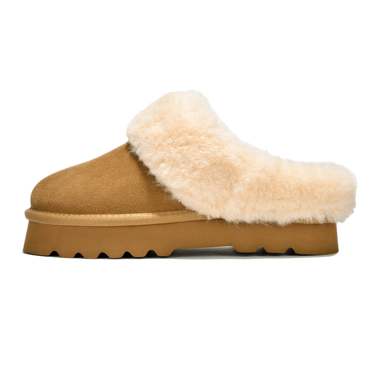 Snowy - Chestnut-OLD - Sassygrove