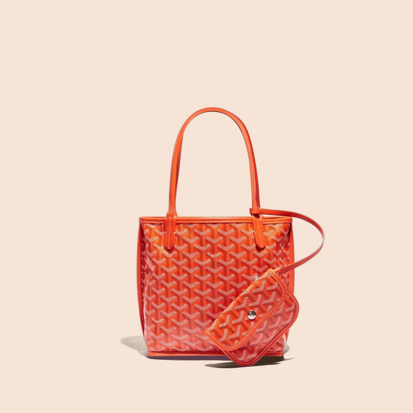 Veyra Revesible Mini Tote