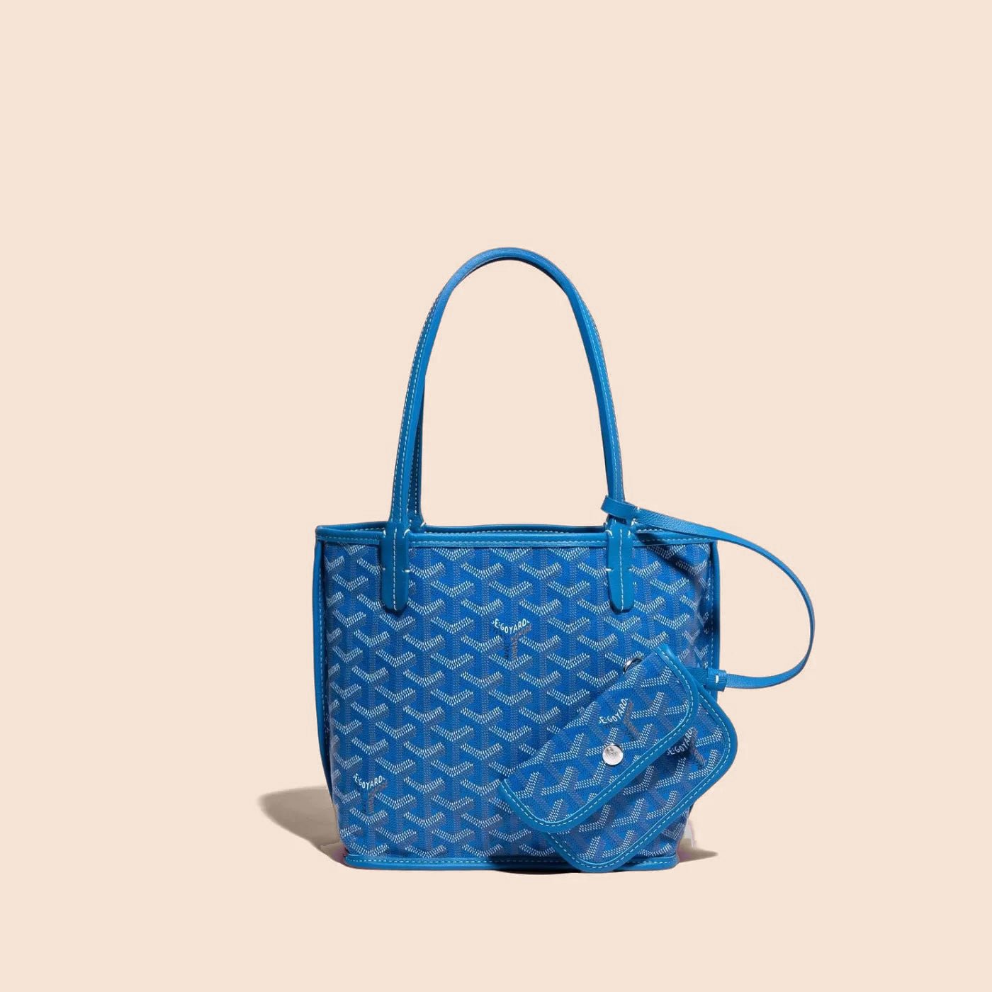 Veyra Revesible Mini Tote