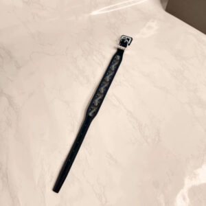 Regal Paws Collar - Sassygrove