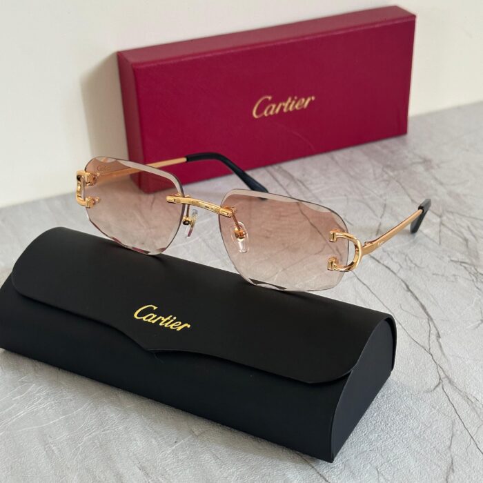 IMG-20250320-WA0102 Cartier CT0030S Santos de Cartier Rimless Sunglasses - Sassygrove