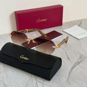 Cartier CT0422S Rimless Sunglasses - Sassygrove