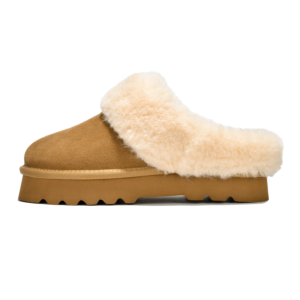 Snowy - Chestnut-OLD - Sassygrove